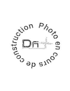 Power Back-UP 185W 1500VA Alcatel-Lucent - 3EH76090AG - dfiplus