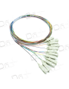 Pigtail Kit 12 OM1 Multimode SC 1m - PK12OM1SC1 - dfiplus