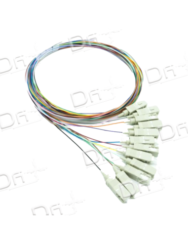 Pigtail Kit 12 OM2 Multimode SC 1m - PK12OM2SC1 - dfiplus
