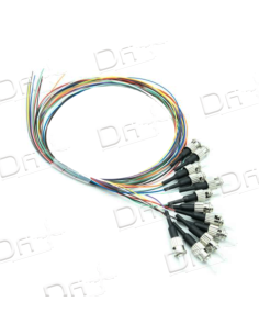 Pigtail Kit 12 OM4 Multimode ST 1m - PK12OM4ST1 - dfiplus