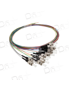 Pigtail Kit 12 OM5 Multimode ST 1m - PK12OM5ST1 - dfiplus