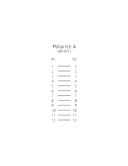 Câble Trunk MTP 12 Brins OM3 F-M Type A 5m - MFMOM3A5 - dfiplus Câble Trunk MTP 12 Brins OM3 F-M Type A 5m - MFMOM3A5 - dfiplus