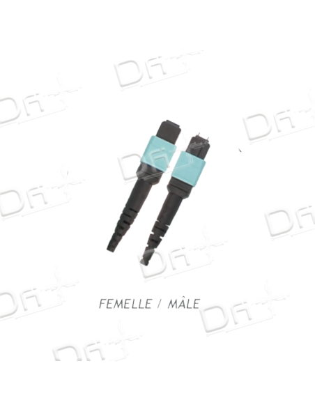 Câble Trunk MTP 12 Brins OM5 F-M Type C 5m - MFMOM5C5 - dfiplus