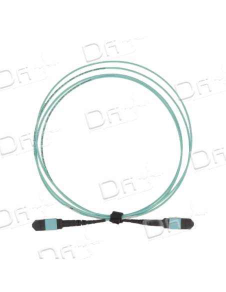 Câble Trunk MTP 12 Brins OM4 F-F Type A 5m - MFFOM4A5 - dfiplus Câble Trunk MTP 12 Brins OM4 F-F Type A 5m - MFFOM4A5 - dfiplus