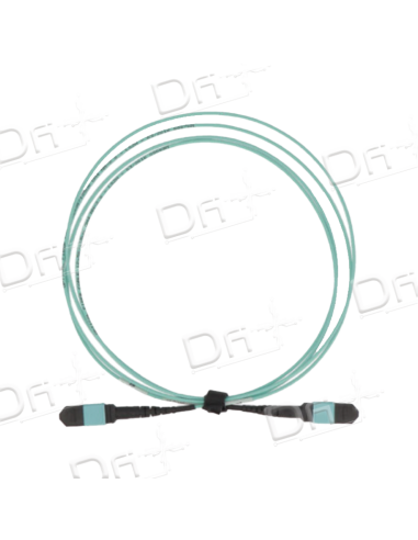 Câble Trunk MTP 12 Brins OM4 M-M Type A 5m - MMMOM4A5 - dfiplus