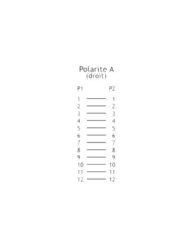 Câble Trunk MTP 12 Brins OM4 M-M Type A 5m - MMMOM4A5 - dfiplus