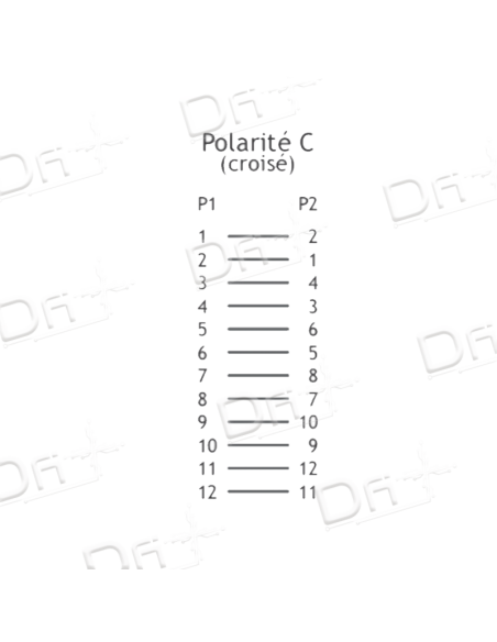 Câble Trunk MTP 12 Brins OM4 M-M Type C 5m - MMMOM4C5 - dfiplus Câble Trunk MTP 12 Brins OM4 M-M Type C 5m - MMMOM4C5 - dfiplus