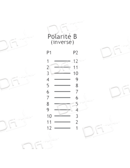 Câble Trunk MTP 12 Brins OS2 F-F Type B 5m - MFFOS2B5 - dfiplus Câble Trunk MTP 12 Brins OS2 F-F Type B 5m - MFFOS2B5 - dfiplus