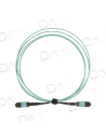 Câble Trunk MTP 12 Brins OS2 M-M Type C 5m - MMMOS2C5 - dfiplus
