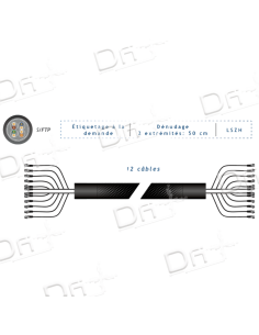 Frette 12 RJ45 CAT 6A S-FTP Gris 2m - FP2G12C6A - dfiplus