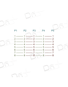 Quadrupleur RJ45 UTP P – P 1M-2F Monobloc 20 cm - QHU1M4F - dfiplus 2