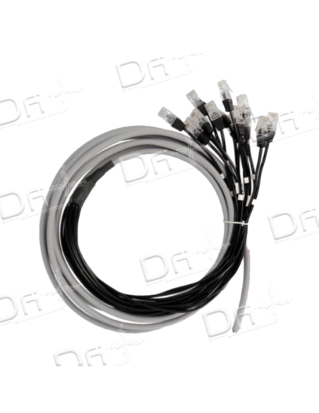 Cable Pieuvre 16 paires RJ45 3m PABX - SYT16P3 - dfiplus Cable Pieuvre 16 paires RJ45 3m PABX - SYT16P3 - dfiplus