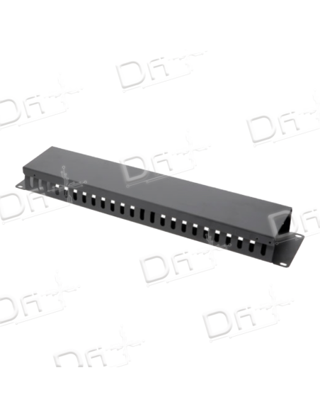 Panneau Guide Cable Goulotte 2U - PGCG2U - dfiplus