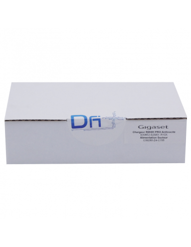 Gigaset Chargeur R630H PRO - R650H PRO DECT - S30852-S2583 - dfiplus