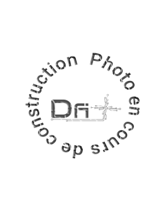 Carte AAU2/12 Aastra MiVoice - MX-One - ROF 137 5411/12 - dfiplus